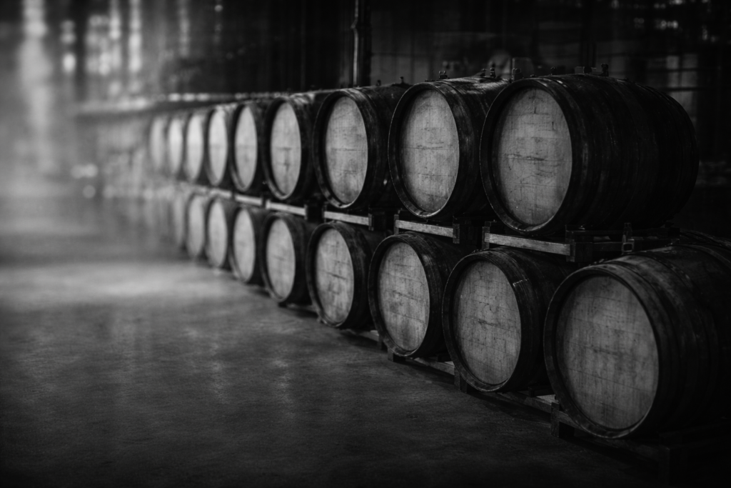 chatgpt image feb 15, 2026, 08 03 51 pm